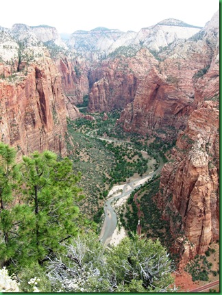 Angel's Landing 084