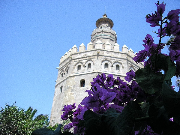 Torre del oro, Sevilla