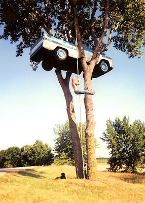 Truck In The Tree Seen On lolpicturegallery.blogspot.com Or www.CoolPictureGallery.com
