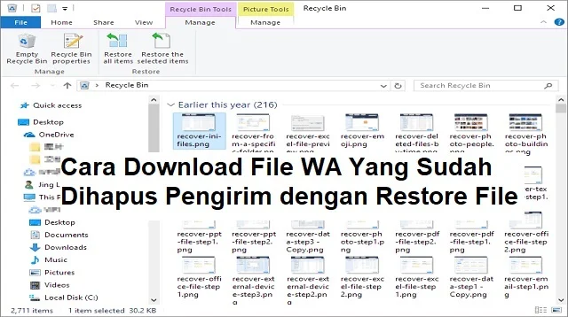 Cara Download File WA Yang Sudah Dihapus Pengirim