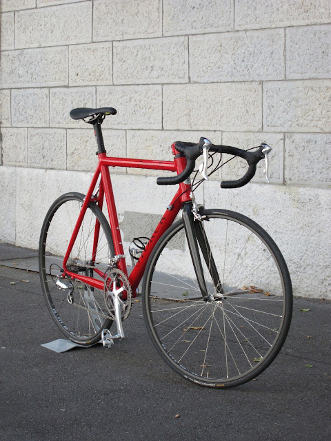 Storck Scenario Pro 