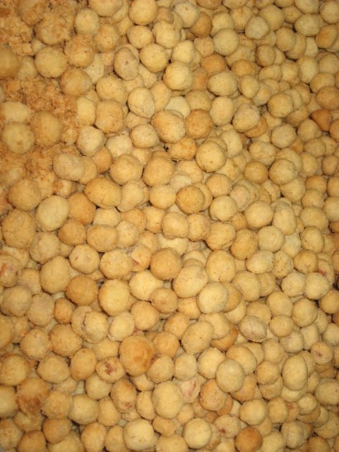 Kacang salut