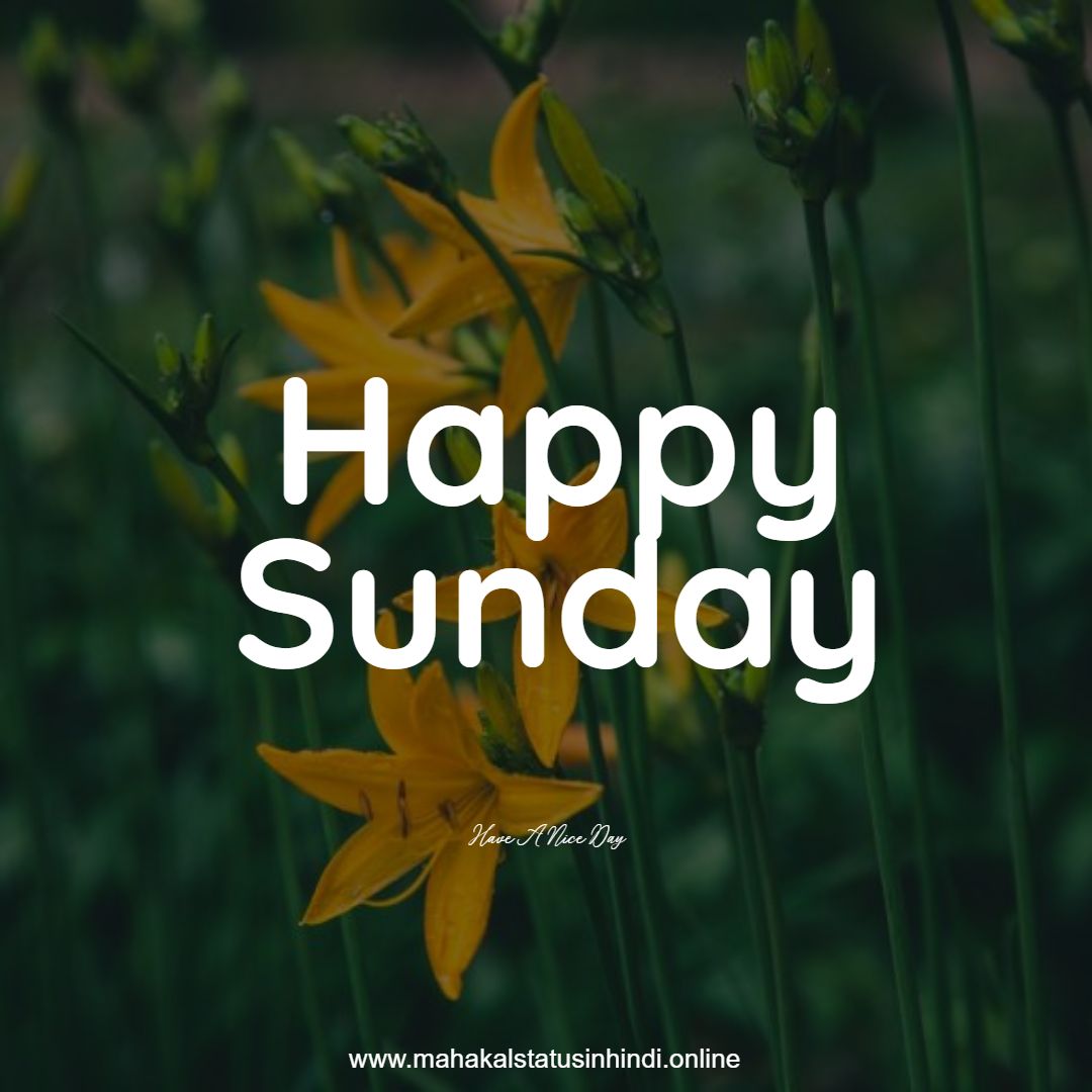 Happy Sunday Flowers  Images