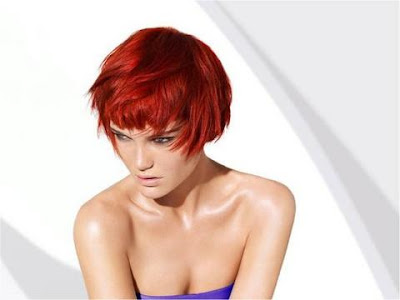 Colors for the summer hairstyles for 2009 are focused on solid shades of 