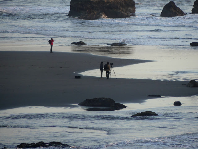 photographers on the beach