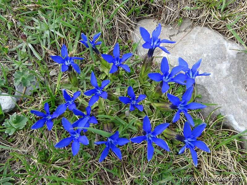 Subida al Monte Perdido