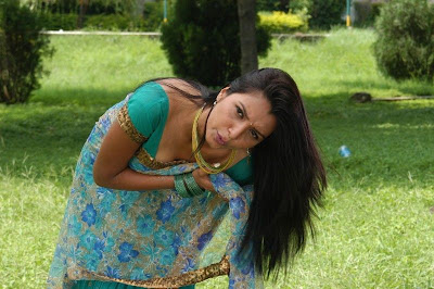 Actress Manjulika Hot Saree Photos