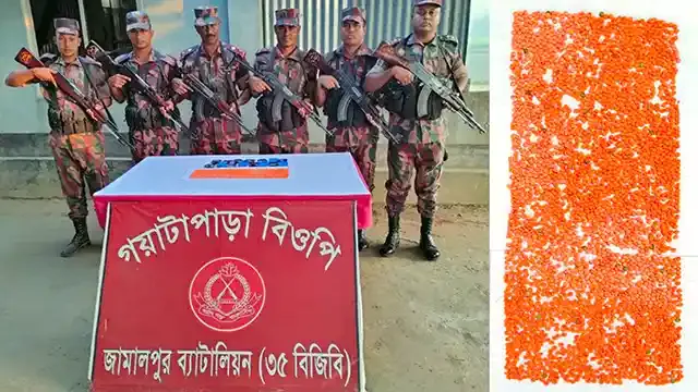 জামালপুর বিজিবির ৪ সহস্রাধিক ইয়াবা উদ্ধার