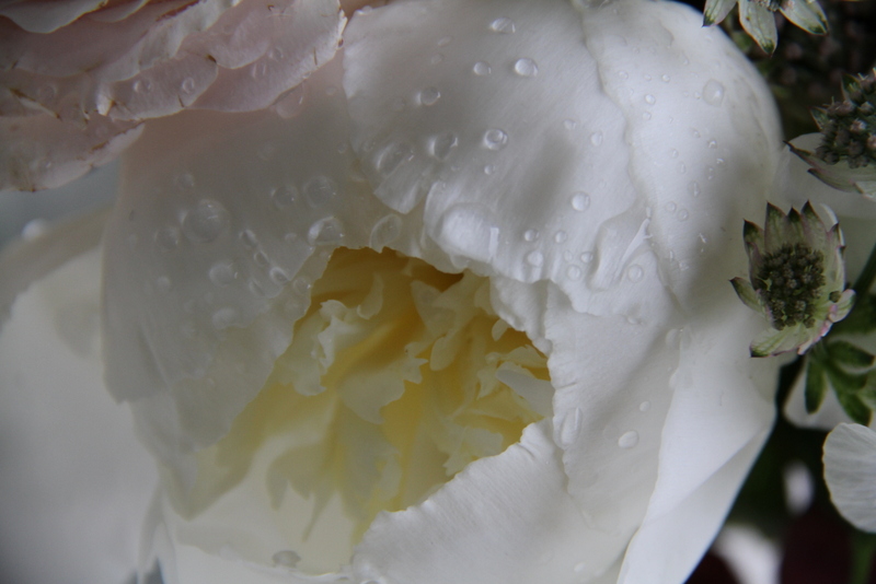 Vintage Bridal Bouquet of Peonies English Garden Roses and Lily of the 