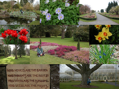 botanic gardens em dublin