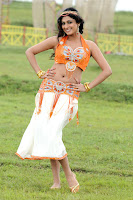 Bollywood and Tollywood acress Hari priya in saree, navel show, hot, sexy, navel show, indian film spicy, masala, 