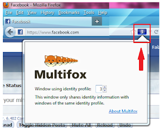 Multifox extension