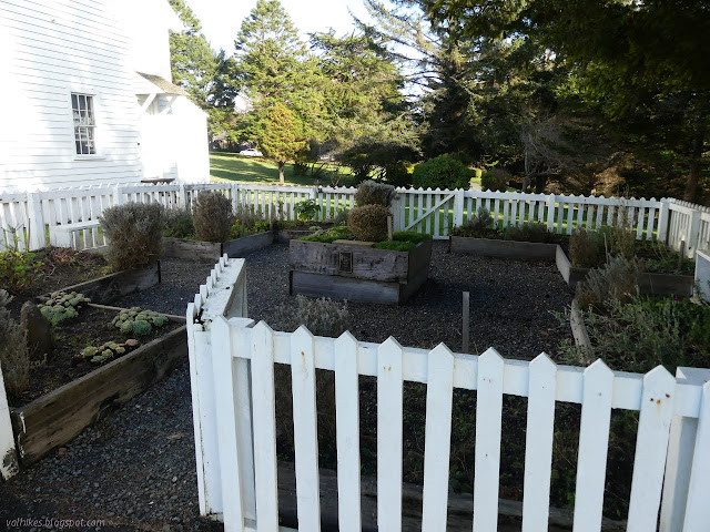 small garden with a fence to keep the cows out