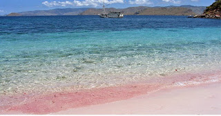 Pantai Pink Flores, Low Budget Travel, Indonesia, Pulau Komodo