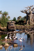 Kilimanjaro Safaris, Animal Kingdom, Disney