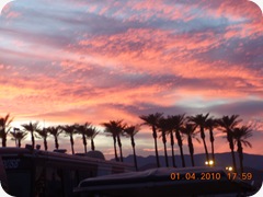DSCN2229