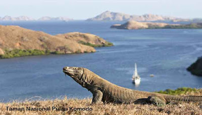 Taman Nasional Komodo