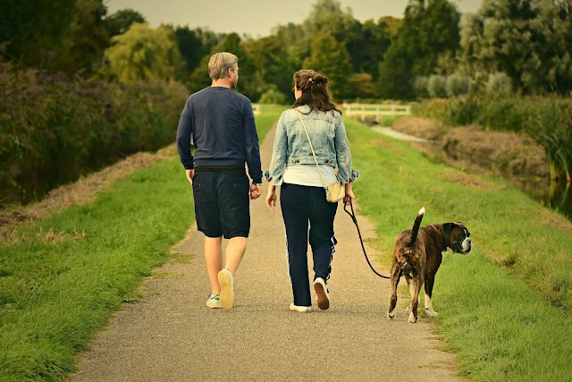 Seven benefits of walk over any other exercise. 