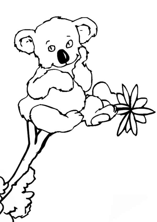 Download Cute Printable Animal " Koalas " Coloring Books for kids