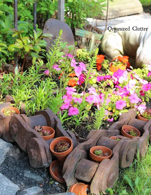 Heavy Chain Garden Edging With Hen & Chicks www.organizedclutter.net