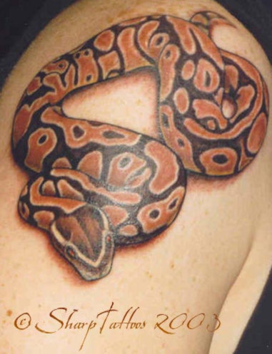 Snake Tattoos