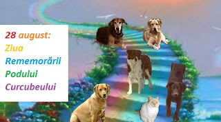 28 august: Ziua Rememorării Podului Curcubeului (al animalelor de companie)