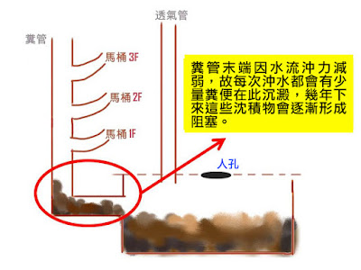 糞管末端堆積