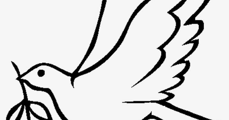 Mewarnai Gambar Sketsa Burung Merpati Terbaru