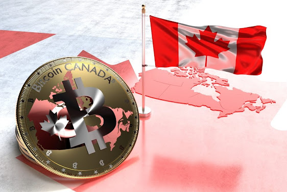 More than 30% of Canadians plan to purchase crypto by 2024, says OSC head