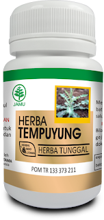 kapsul,tempuyung,herbal indo utama