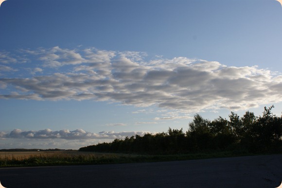 DSC04150