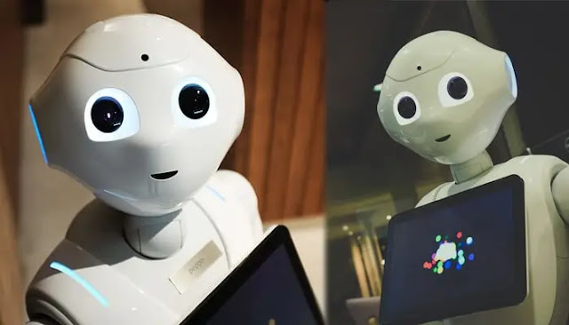The rise of social robots