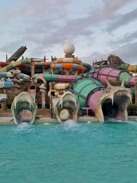 Yas Waterworld: o melhor parque aquático de Abu Dhabi