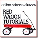 Red Wagon Tutorials 2 125