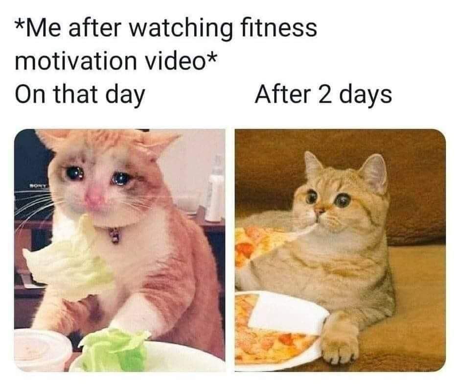 *Me after watching fitness motivation video*  -On that day - After 2 days