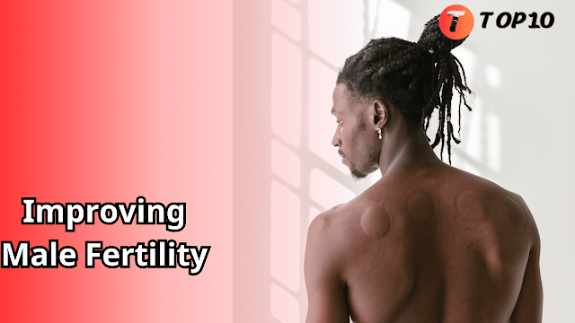 Improving Male Fertility