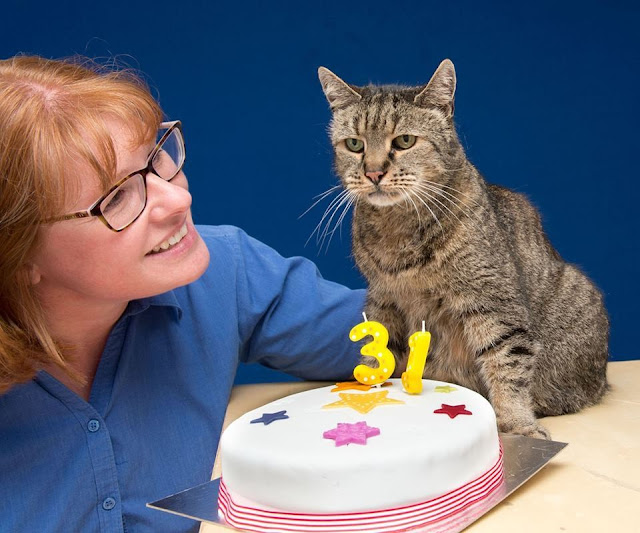 31-year-old Cat, Who Chose His Humans 26 Years Ago, is Still Going Strong