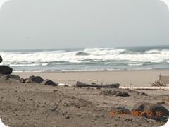 DSCN0654