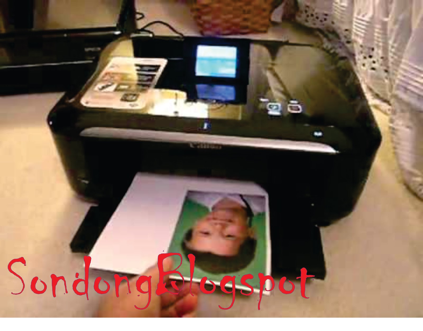 Printer Terbaik Untuk Cetak Foto