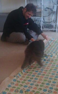 Photo of me sat on the floor pinning a long fabric strip to the backing material, with Maggie cat sat on the backing fabric trying to help!