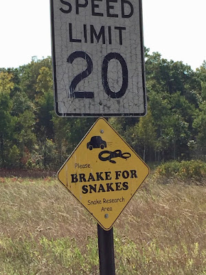 Brake for Snakes