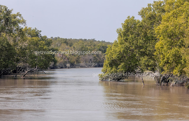 A canal in Sundarbans