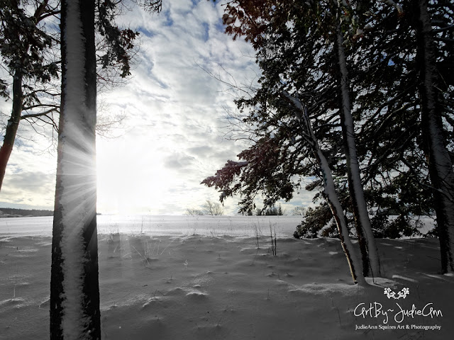 Snowdrifts & Sunbeams Prints