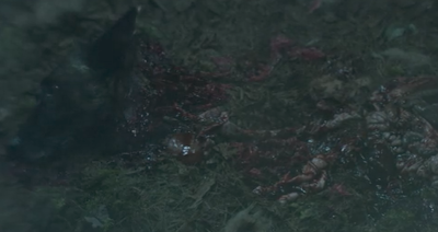 Gory dog head on forest floor