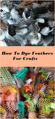 How to dye feathers