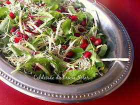 Solar Salada de mini folhas, brotos e romã