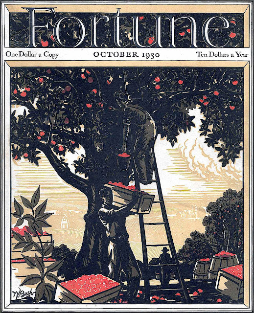 a W. Buehr illustration for Fortune Magazine, harvesting fruit