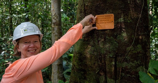 BaumInvest recibe premio "Boscar" por conservación de bosques 