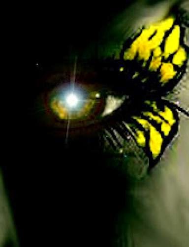 Jas 1 26 Who Deceives His Heart His Religion Is Vain