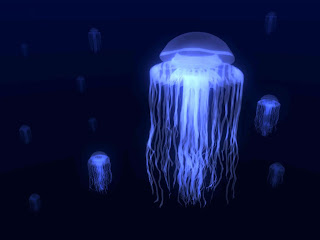 Jellyfish Wallpapers